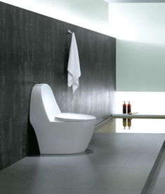 羅芬衛浴R8385坐便器價格、圖片及參數詳解